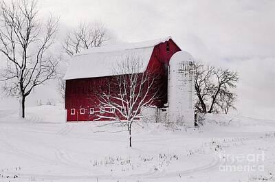 Landscapes Royalty-Free and Rights-Managed Images - Michigan Winter by Scott Ward