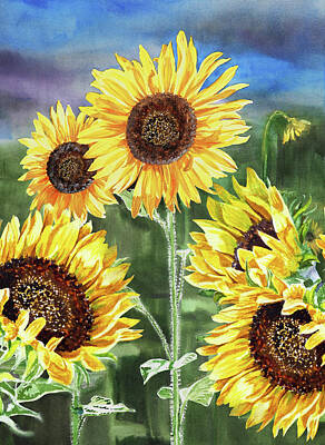 Sunflowers Royalty-Free and Rights-Managed Images - Midday In The Field Sunflowers Watercolor Happy Flowers   by Irina Sztukowski
