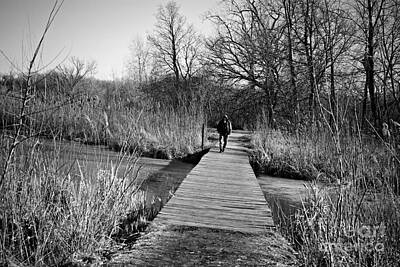 Frank J Casella Royalty-Free and Rights-Managed Images - Mild Day Winter Wetlands - Black And White by Frank J Casella