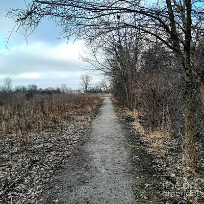 Frank J Casella Royalty-Free and Rights-Managed Images - Mild Winter Preserve Trail by Frank J Casella