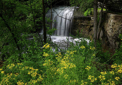 Whimsically Poetic Photographs Rights Managed Images - Millikin Falls Ohio Spring Flowers Royalty-Free Image by Dan Sproul