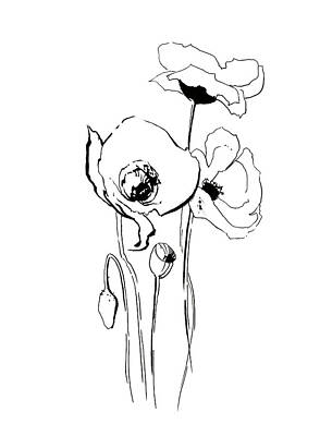 Floral Drawings - Minimalist poppies by Sophia Rodionov