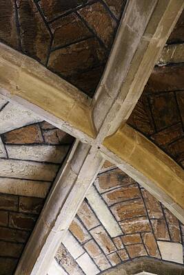 Mother And Child Animals - Minster Crossed Beams by Michaela Perryman