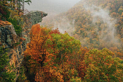 Recently Sold - Roses Royalty Free Images - Misty Autumn View of Whitaker Point in Arkansas Royalty-Free Image by Jeff Rose