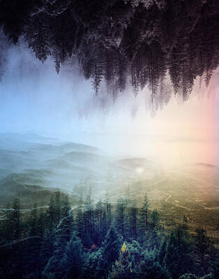 Surrealism Digital Art Royalty Free Images - Misty forest Royalty-Free Image by Stoian Hitrov