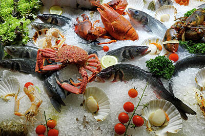 Airplane Paintings Royalty Free Images - Mixed fresh raw shellfish seafood on ice for the market in close Royalty-Free Image by Thomas Baker