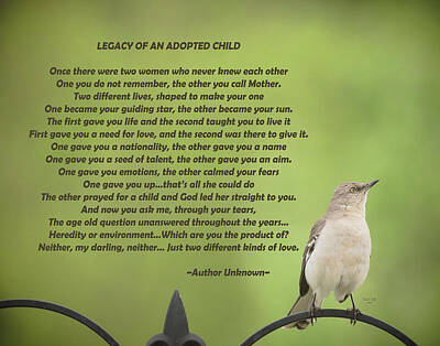 Thomas Kinkade - Mockingbird Adoption Poem by Trish Tritz