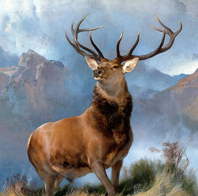 Mammals Paintings - Monarch of the Glen, 1851 by Sir Edwin Landseer