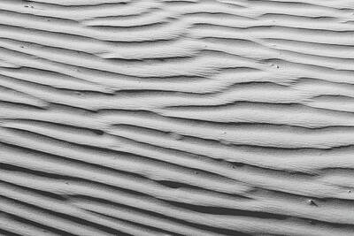 Western Buffalo Royalty Free Images - Monochromatic Waves Royalty-Free Image by Kristal Kraft