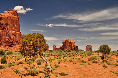 Stone Cold Rights Managed Images - Monument Valley 07 Royalty-Free Image by Ingrid Smith-Johnsen