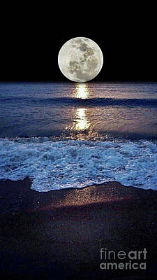 Black And White Beach Royalty Free Images - Moon over Miami   Royalty-Free Image by EliteBrands Co