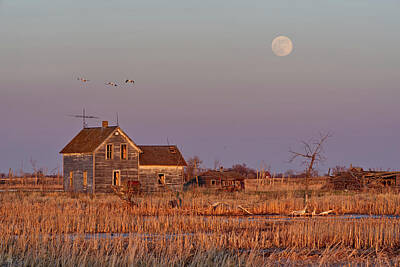 Vintage College Subway Signs - Moonrise over Maynards - Abandoned ND farm flooded out in sunset light with full moon rising by Peter Herman