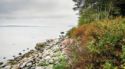 Travel Luggage Royalty Free Images - Moose Point State Park Royalty-Free Image by Alexey Stiop