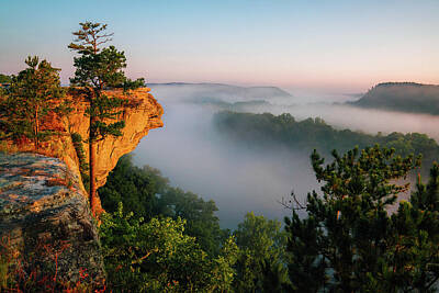 Recently Sold - Roses Photos - Morning at City Rock Bluff in Arkansas by Jeff Rose