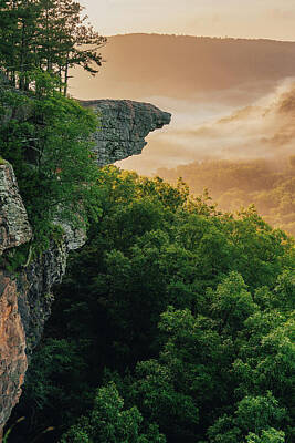 Recently Sold - Roses Royalty Free Images - Morning at Whitaker Point Royalty-Free Image by Jeff Rose