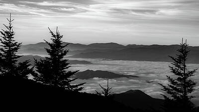 Roaring Red - Morning Has Broken, Black and White by Marcy Wielfaert