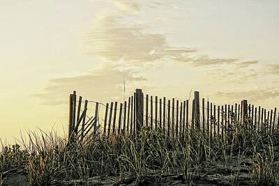 Lori A Cash Royalty-Free and Rights-Managed Images - Morning Light on Dunes by Lori A Cash