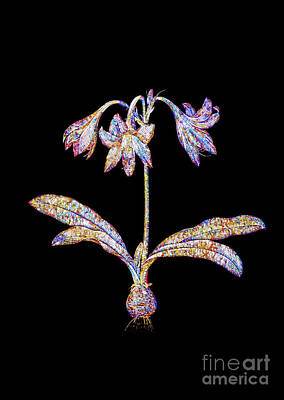Florals Mixed Media - Mosaic Netted Veined Amaryllis Botanical Art On Black by Holy Rock Design