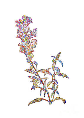 Golden Gate Bridge - Mosaic Red Dragon Flowers Botanical Art On White by Holy Rock Design