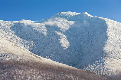 Owls Rights Managed Images - Mount Mansfield Winter Summit Royalty-Free Image by Alan L Graham