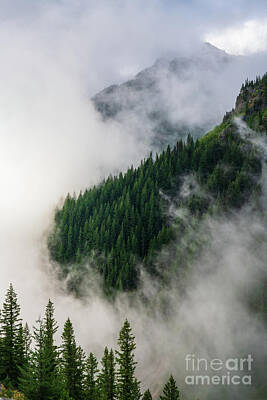 Surrealism Photo Royalty Free Images - Mount Rainier National Park Forest Mist Royalty-Free Image by Mike Reid
