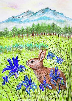 Mountain Drawings - Mountain Bunny in Iris by Jennifer Lake