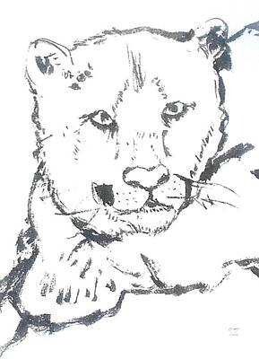Mountain Drawings - Mountain Lion Detail by Samuel Zylstra