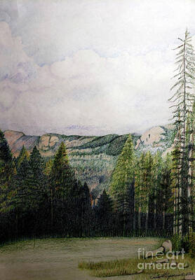 Mountain Drawings - Mountain Meadow by Ceilon Aspensen