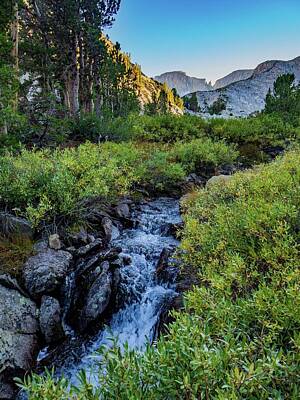 Blooming Daisies Royalty Free Images - Mountain Waterfall Royalty-Free Image by Joel Pearman