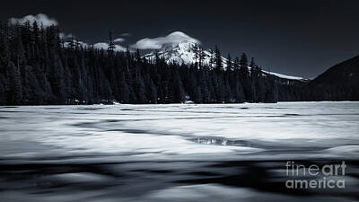 Masako Metz Royalty-Free and Rights-Managed Images - Mt Hood from Lost Lake by Masako Metz