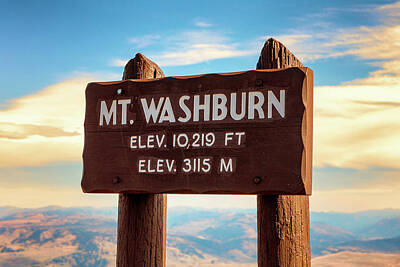 Beach Days - Mt. Washburn - Yellowstone #3 by Stephen Stookey