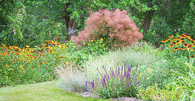 Lucky Shamrocks - My Summer Backyard Garden by Patti Deters