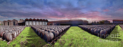 Wine Royalty-Free and Rights-Managed Images - Napa Wine Barrels by David Zanzinger