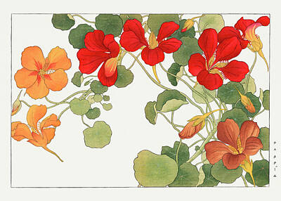 Floral Digital Art - Nasturtium Flower - Ukiyo e art - Vintage Japanese woodblock art - Seiyo SOKA ZUFU by Tanigami Konan by Studio Grafiikka