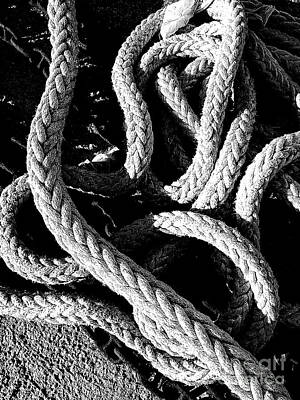 Garden Tools - Naval Ropes #1 by Exors