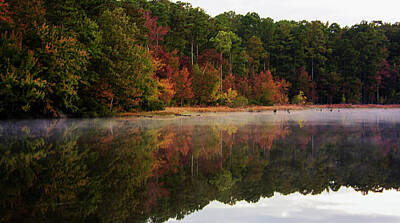 Lori A Cash Royalty-Free and Rights-Managed Images - Newport News Park in Fall by Lori A Cash