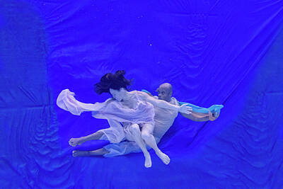 Airplane Paintings Royalty Free Images - Nina and General dancing underwater in front of blue background 8 Royalty-Free Image by Dan Friend