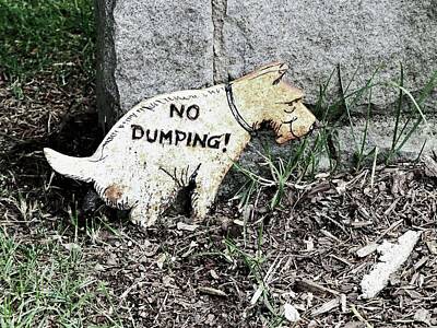 Whats Your Sign - No Dumping by Sharon Williams Eng