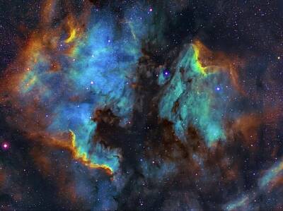 Fruit Photography - North American and Pelican nebulae mosaic - blue and black galaxy digital wallpaper - Newton, MA by Julien