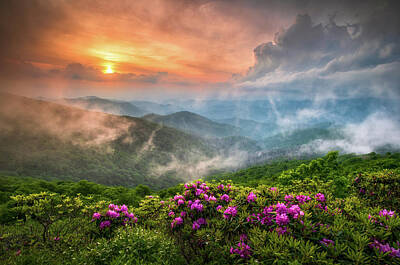 Photos - North Carolina Blue Ridge Parkway Spring Appalachian Mountains NC by Dave Allen