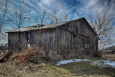 Pineapples Royalty Free Images - North Missouri Barn Image 79 Royalty-Free Image by Bill Duncan
