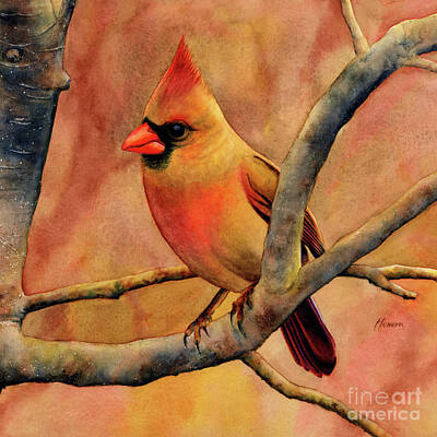 Royalty-Free and Rights-Managed Images - Northern Cardinal II - Mrs. Cardinal by Hailey E Herrera