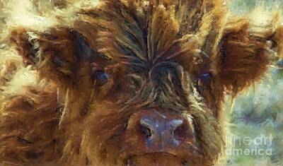 Mellow Yellow Rights Managed Images - Nosey Calf Royalty-Free Image by Roland Stanke
