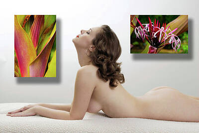 Nudes Royalty-Free and Rights-Managed Images - Nude Art Gallery by Harry Spitz