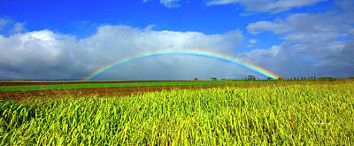 Watercolor Typographic Countries Royalty Free Images - Oahu Hawaii Rainbow Fields Wahiawa Panorama North Shore Agricultural Landscape Art Royalty-Free Image by Reid Callaway