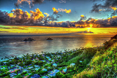 Green Grass - Oahu HI Lanikai Beach Pillbox Hike Sunrise Kaiwa Ridge Trail Landscape Seascape Art by Reid Callaway