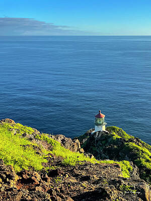 Curated Weekender Tote Bags - Oahu HI Makapuu Lighthouse Trail Hike Landscape Architecture Art by Reid Callaway