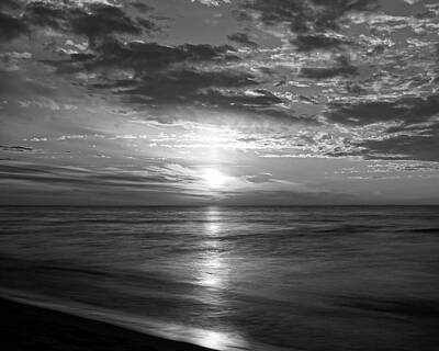 Juj Winn - Ode To Sunsets Black and White by Kathi Mirto