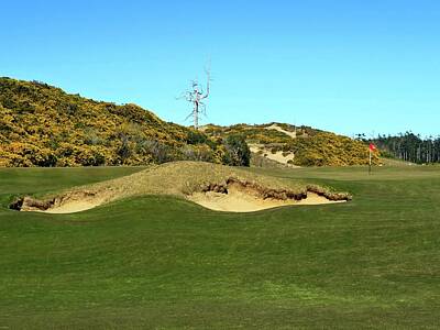 Sports Photos - Old Macdonald Golf Course - Hole #1 and Ghost Tree by Scott Carda