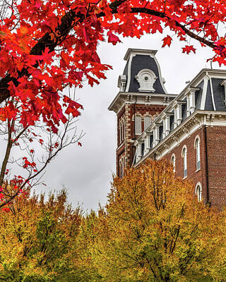 Owls - Old Main Framed In Autumn by Gregory Ballos